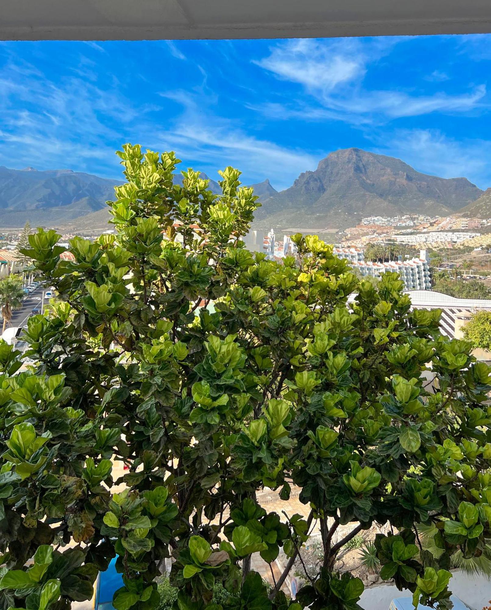 Tenerife Paradise Anna Studio Costa Adeje  Exterior foto